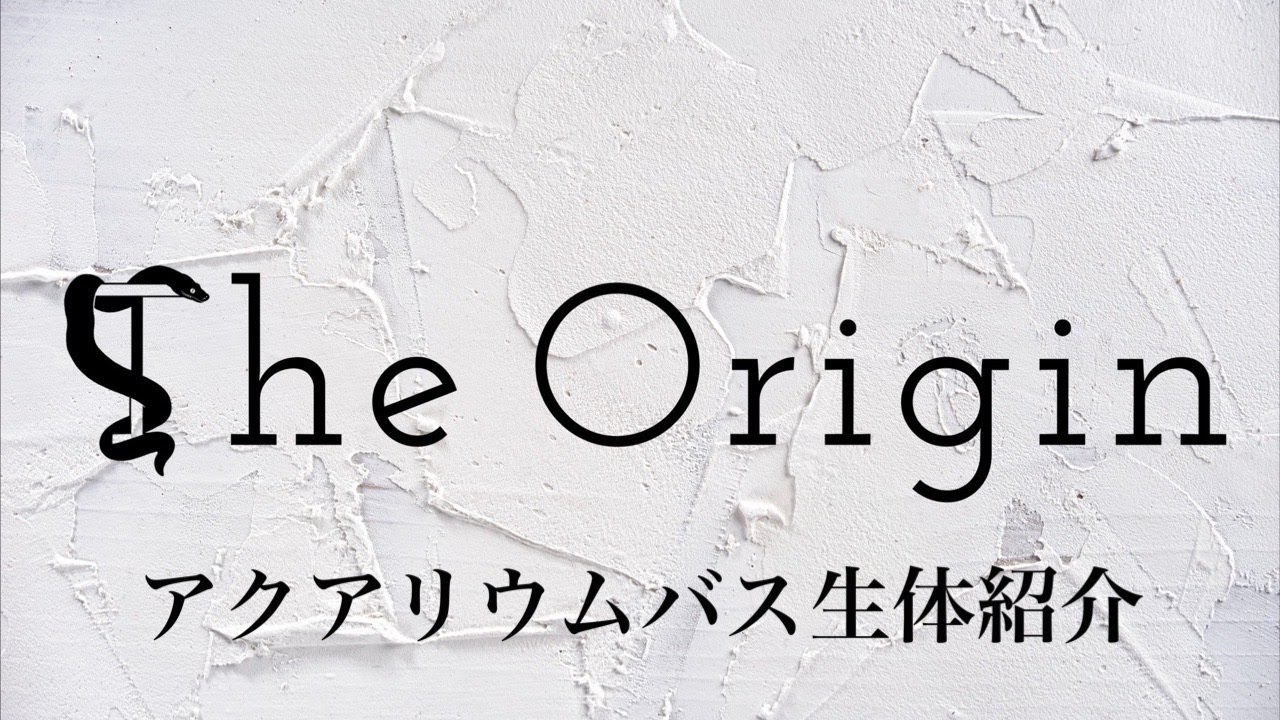 アクアリウムバス生体紹介