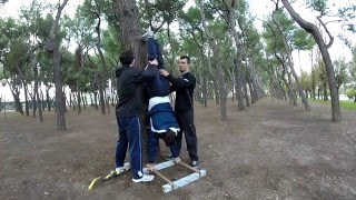 Handstand pushup negative