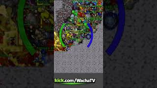 Antica dziś oddała, piękne fragi by WDC  #tibia