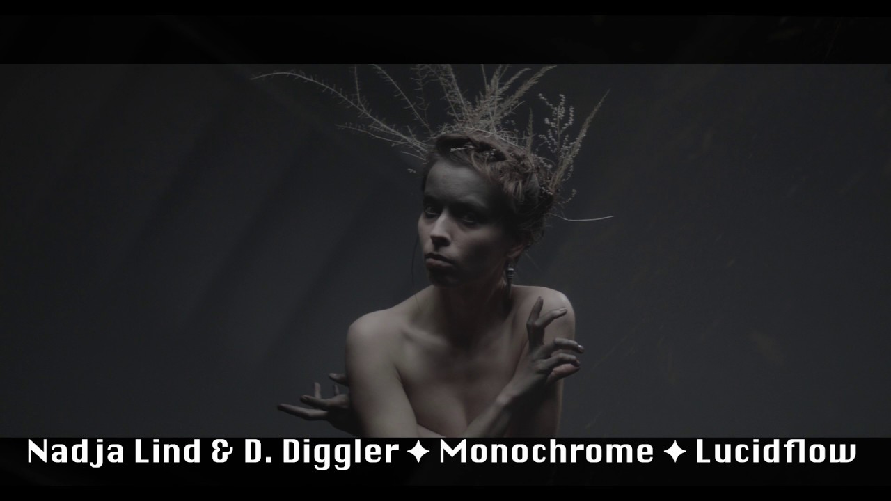 Nadja Lind & D. Diggler ✦ Monochrome ✦ Lucidflow [deep hypnotic techno]