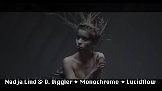 Nadja Lind &amp; D. Diggler ✦ Monochrome ✦ Lucidflow [deep hypnotic techno]