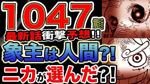 ワンピース死