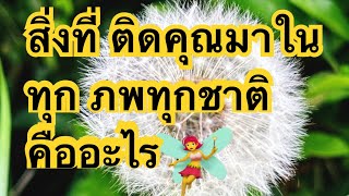 #random#สิ่งที่ ติด คุณมาใน ทุกภพทุกชาติ คืออะไร จงใช้วิจารณญาณในการรับฟัง