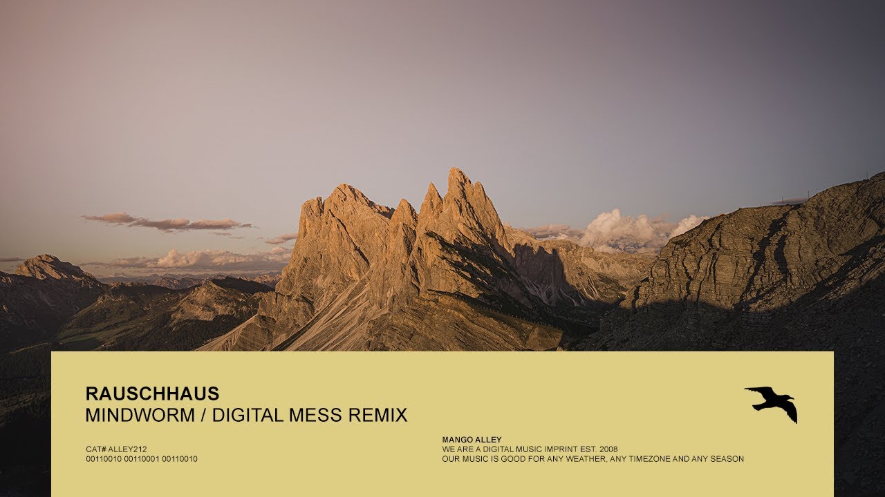 RAUSCHHAUS Mindworm (Digital Mess Remix)