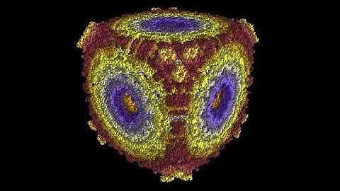 Today I learned about 3D History Dependent Cellular Automata 60FPS