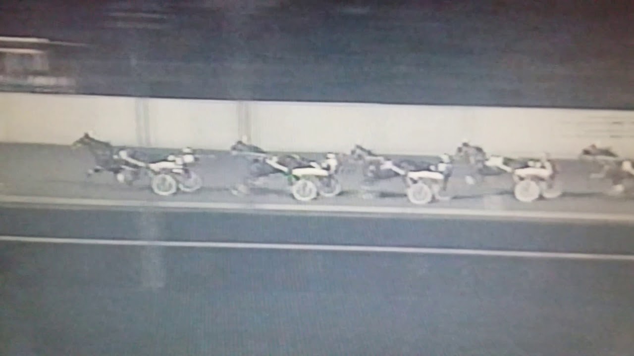 1991 Driscoll  Final, ,Prince  Ebony, ,R.Pierce, ,Meadowlands