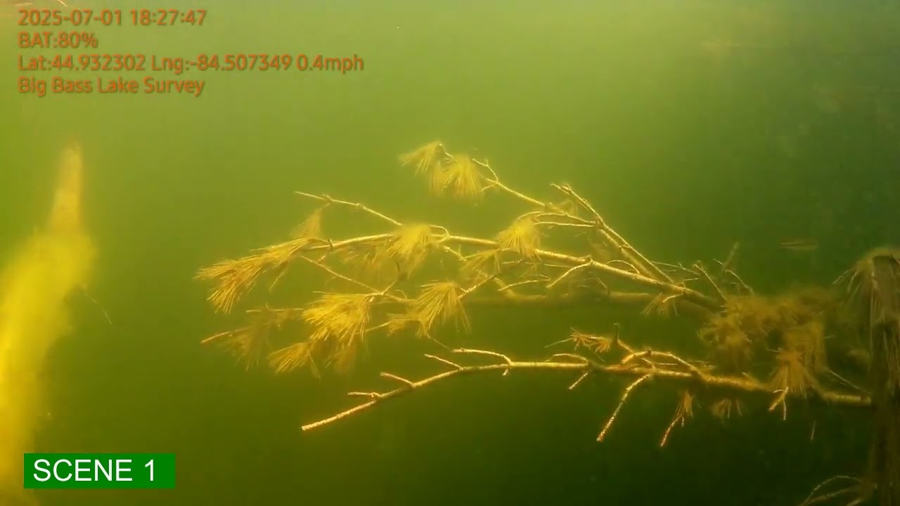 Big Bass Lake, Otsego county, Michigan