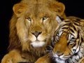 Sarah Brightman Jose Carreras Amigos Para Siempre 