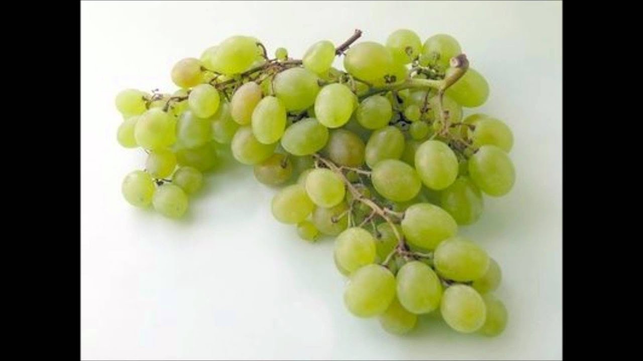 DONUTS DON'T GROW ON TREES.wmv YouTube