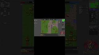 WAD2: Spotkanie z 🐉Dragonem🐉 ⚔️ Tibia Custom OTS Gameplay PL #shorts