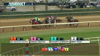 Army Mule - 2018 - The Carter Handicap