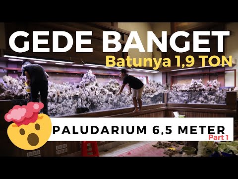 akuarium-sultan-project-paludarium-6,5-meter-the-aquatic-freak-style