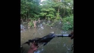 Mancing Pakai Kue Apem Belah, Langsung Disambar Ikan Besar
