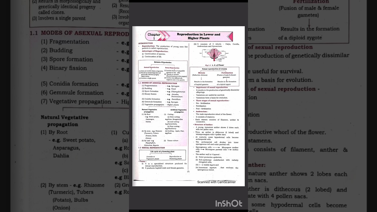 🌺Plant Reproduction🌿HSC Board Exam ☘️ Easy Plant Reproduction Notes for Class 12 📚