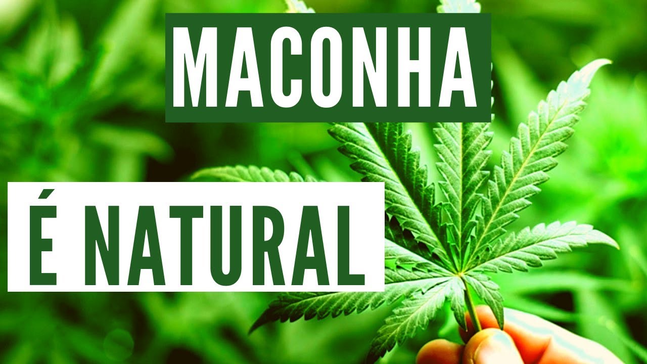 Imagem do episódio em vídeo: Maconha é natural: entendendo o mito