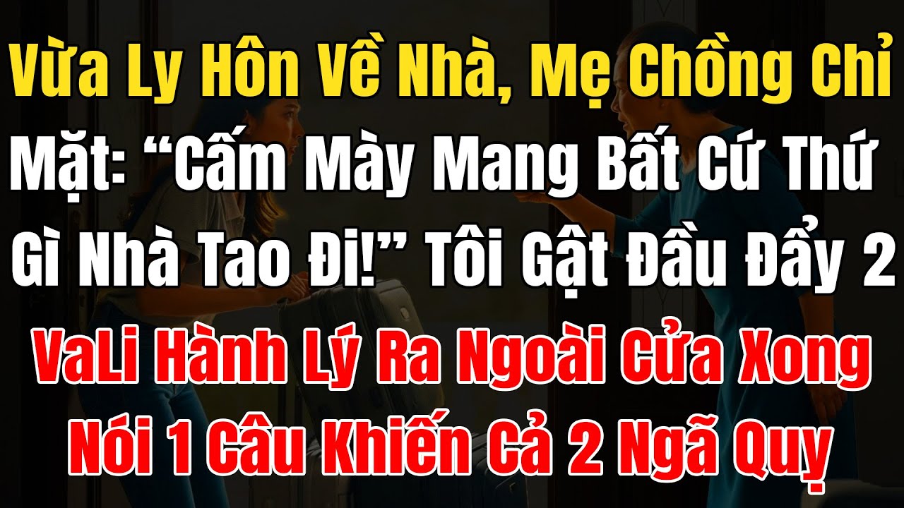 Vừa Ly Hôn Về Nhà, Mẹ Chồng Chỉ Mặt: 'Cấm Mày Mang Bất Cứ Thứ Gì Nhà Tao Đi!' Tôi Đẩy 2 Vali Hành Lý