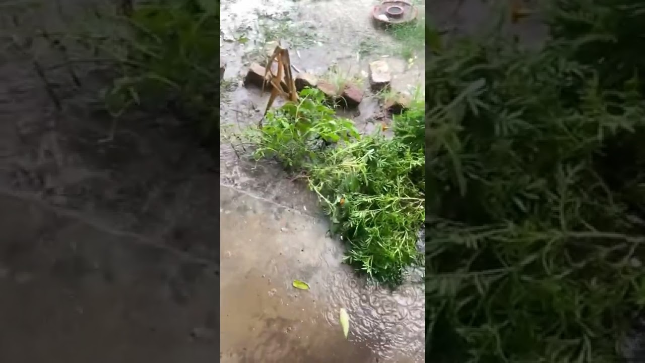 Heavy Rain In Quetta | Naray Baran Dey |