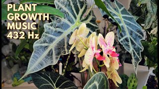 Plant Growth Music: 432 Hz Frequency for Healthy and Happy Plants