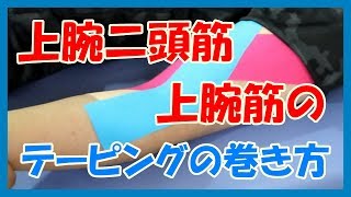 上腕二頭筋や上腕筋のテーピング方法 Youtube 上腕二頭筋や上腕筋のテーピング方法 Youtube