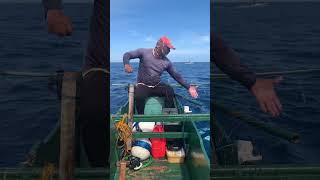 Grabi Ang Lalaki Ng Mga Gulyasan Tatlo Agad Ang Huli Natin spearfishingadventures