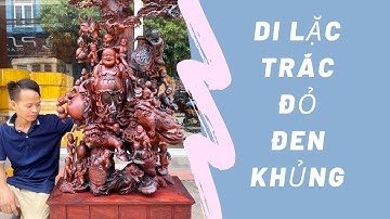 Tượng Gỗ: Di lặc thập bát đứng dưới cây tùng gỗ trắc đỏ đen | Tượng di lặc khủng |  Xưởng Tượng Gỗ
