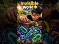 Invisible World 😳 | What are Microorganisms? (Class 8 Science) #scienceshorts #class8science