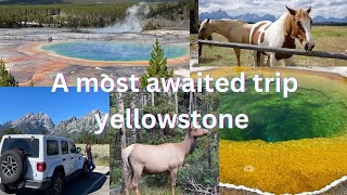 A beautiful trip to Yellowstone national park| another world #yellowstone #animals