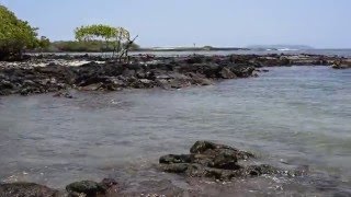 Isla Isabela, Galápagos