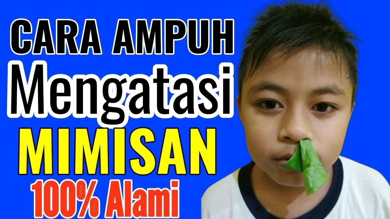 Daun Sirih UNTUK Mengatasi MIMISAN, Begini Caranya Sob 