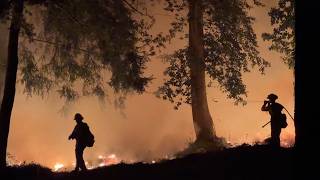 The Haunting Beauty of the Timber Fire in the Los Padres National Forest
The Timber Fire in the Los Padres National Forest near Big Sur, California, Aug. 28, 2026.
#usa #forest #fire
(Footage provided by Andrew Avitt) The Haunting Beauty of the Timber Fire in the Los Padres National Forest