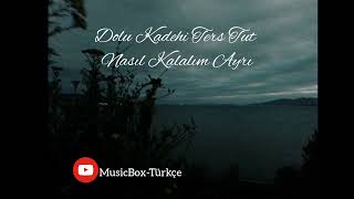 Dolu Kadehi Ters Tut - Nasıl Kalalım Ayrı (musicbox-türkçe)