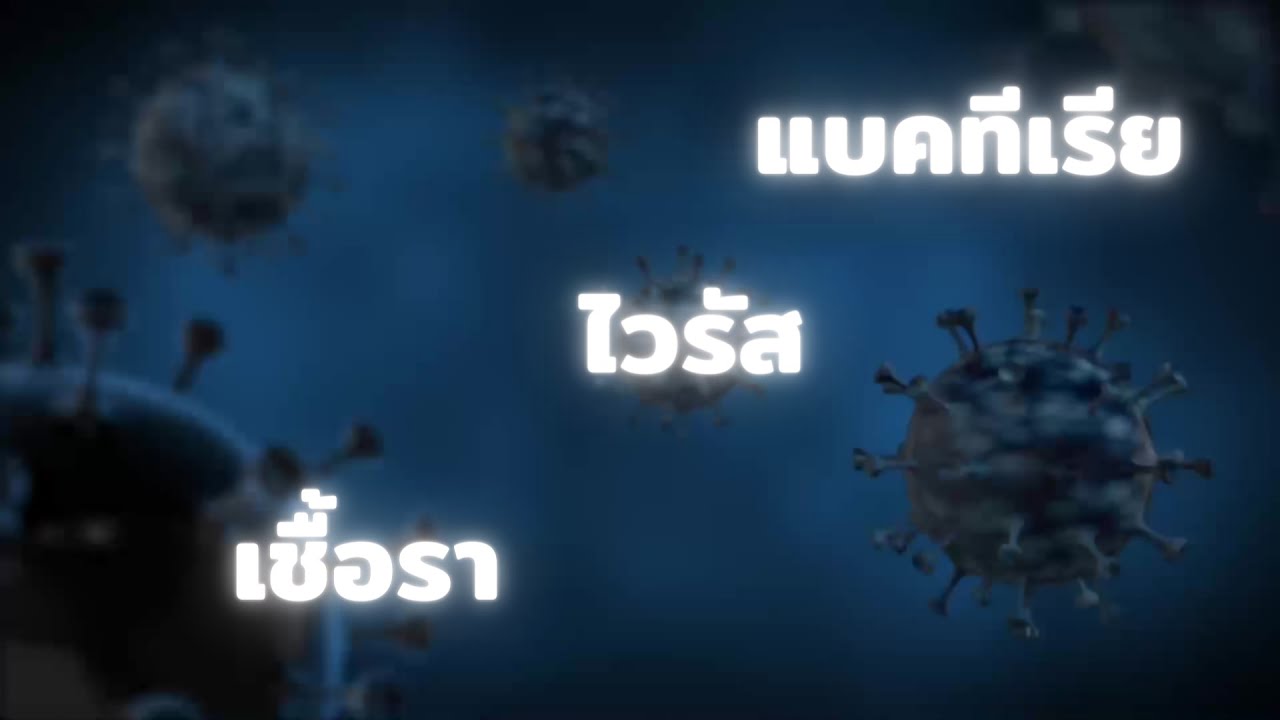 เทคโนโลยีการฆ่าเชื้อโรคในอากาศ โดย MSE Thailand