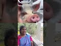 பெட்ரோல் டீசல் விக்கிற விலையில  #comedy #trending