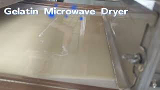 Gelatin Microwave Dryer