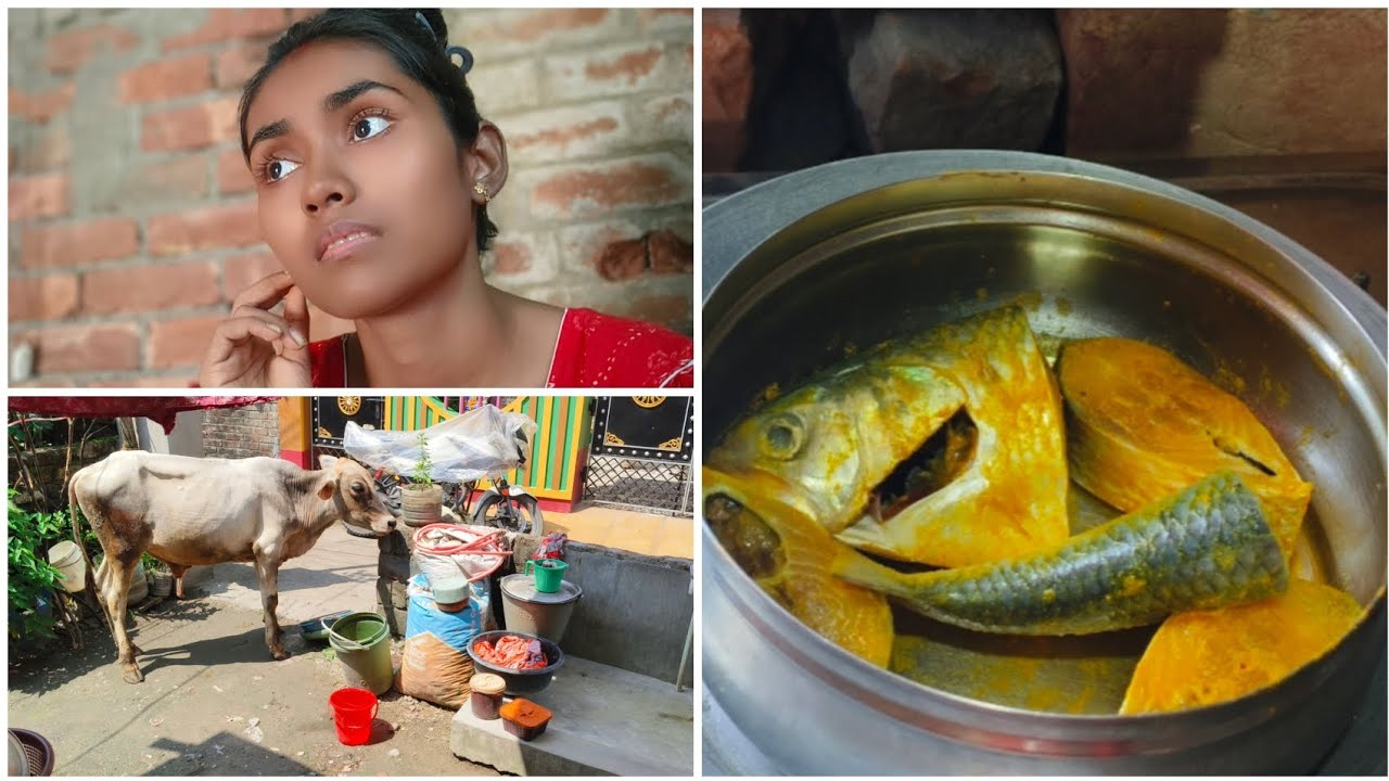 আজ অনেক আশা করে ইলিশ মাছ নিয়ে এলাম কিন্তু দুর্ভাগ্যবশত খেতে আর পারলাম না.. এই বছরের প্রথম ইলিশ।।