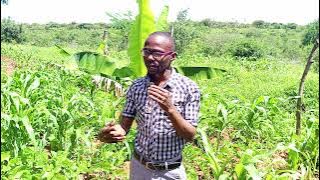 🤣🤣'ETI WATU WANAOGOPA MWAKA MPYA 2022,SIJAWAHI INGIA TENA 2022'🤣🤣