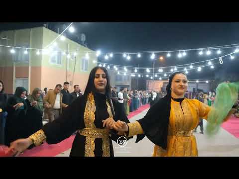 Çawşin Müzik & Yunus Ordu & Serkan & Emine Muhteşem Tarsus Düğünü New Video