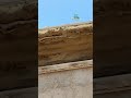 MKANDA WA JUU YA FENCE NDIO HIVYO UNAVYOONEKANA, KABLA NA BAADA YA KUTENGENEZWA