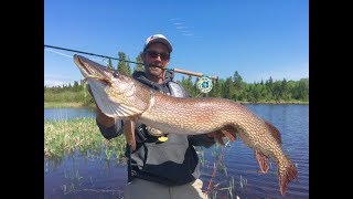 Colorado Wickedfisha- S3E3: The Best Pike Fishing On Earth - YouTube