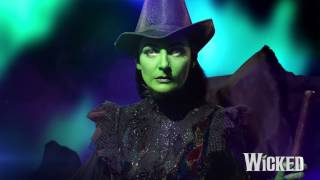 People assume because I'm green...I'm WICKED. | WICKED the Musical