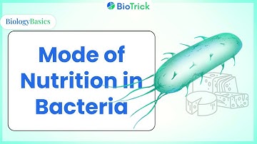 Mode of Nutrition in Bacteria | Kingdom Monera | Biological Classification | Class 11 Biology