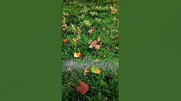 سورة العلق #بصوت القارئ أحمد العجمي# قرآن كريم #راحة نفسية #qurantilawat #quran #
