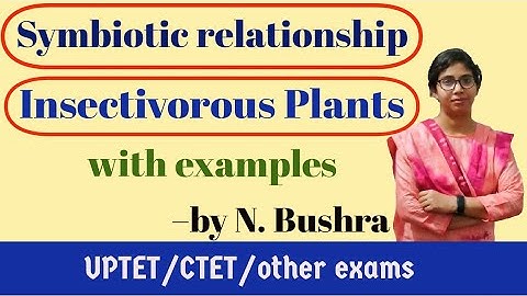 Symbiotic relationship | Insectivorous Plants—by N Bushra #outofthebox#CTET #UPTET #SCIENCE_PAPER_2