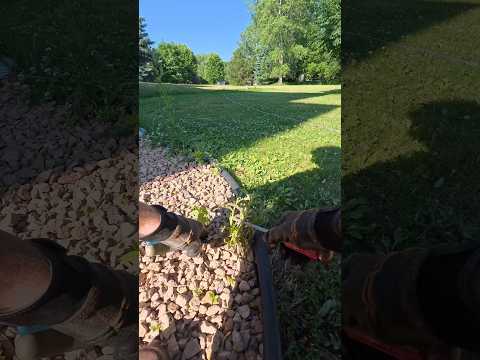 POV pulling weeds