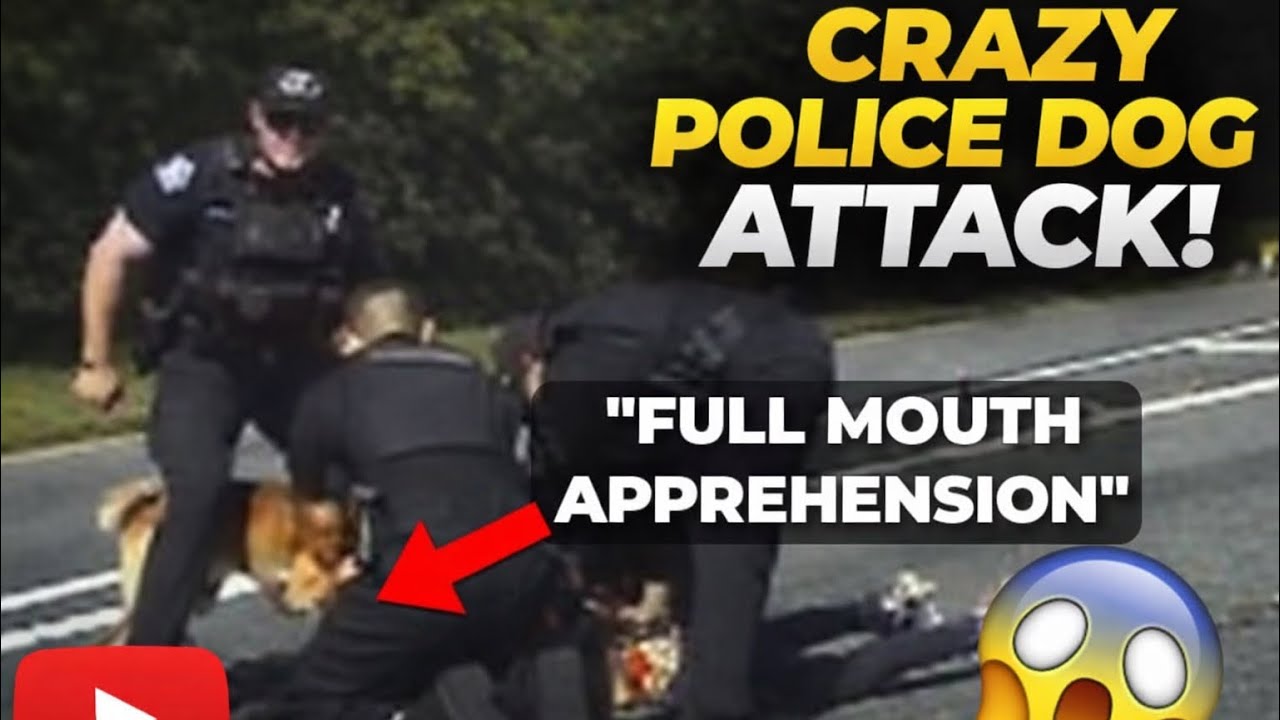 WILD Police Chase | Penguinz0 - YouTube
