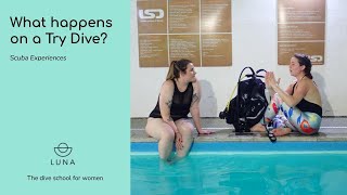 What happens on a Try Dive One of our students explains all!
