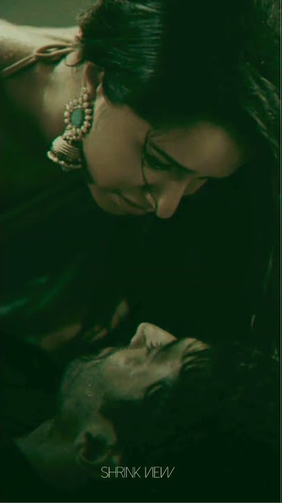 Aashiqui 2 BGM || Flute BGM || Tum Hi Ho BGM || SHRINK VIEW