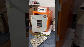Food Dehydrator Machine | Mulethi Hurbs Dehydrating Machine - Tray Dryer Demo Video #ytshorts
