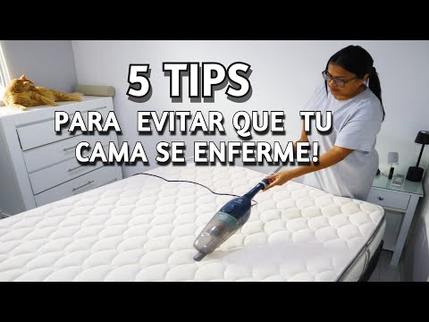 Parte #2 CÓMO QUITAR EL OLOR A SUDOR DE TU CAMA | TIPS SENCILLOS PARA LIMPIAR TU CAMA Y TU CUERTO!