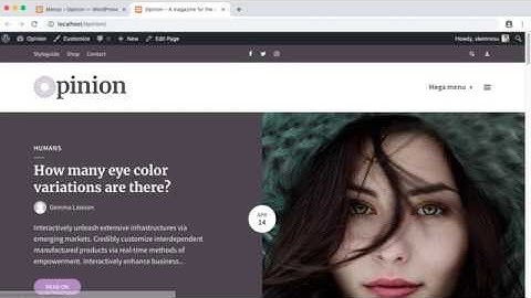 Mega menu setup - Opinion WordPress Theme